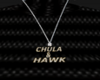 CHULA AND HAWK