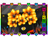 Okai Flower Crown