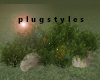 Bush Plant  Landscape