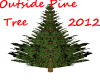 New outside pine tree