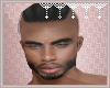 *C* Xavier Mesh Head