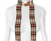 Autumn Flannel Scarf🍂