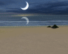 New Moon Beach Island