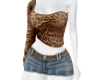 𓍼ོ Seduce Leo Set