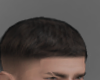 Real Fade