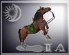 (IA) Highlander Horse