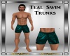 Dark Teal Swim Trunks