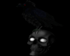 Kais Raven