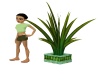 D_ green Palm