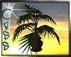 [CC] Sunset Palm Plant