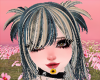 cybr - hair
