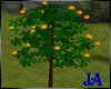 Garden Fruit Tree [2]