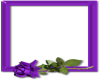 PuRpLe RoSe FRaMe