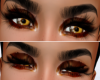 makup Brown Eyes