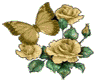butterflyw/roses