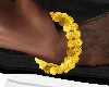 T. Bracelet