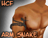 HCF R Arm Snake Animal