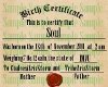 Birth Certificate Soul