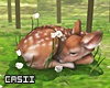 Deer Spring
