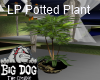 [BD] LP Potted Plant