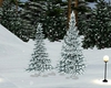 TJ Christmas SnowTrees