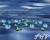 PHV Water Flower w/Sound