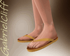 Flip Flop Colored