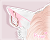 |Pi| Neko Ears