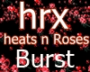 Red Hearts Roses Burst