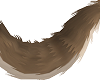 CoyoteWolf Tail