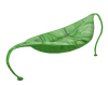 Leaf Hammock