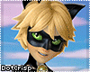 Cat Noir