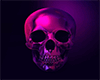 Skull Neon 03