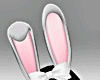 Bunny Bundle