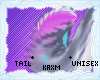 ꨄStacy Tailꨄ