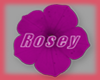 ~RG~ Rosey nametag