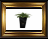 black, gold tall planter