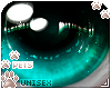 [Pets] Chaso | eyes v2