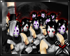 !SWH! ANBU Squad x39