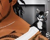 XIs Male Shoulder Kitty