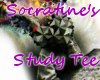 Socratine's Study Tee