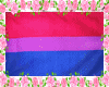 Bisexuel Flag