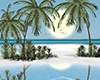 Paradise Island