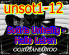 Unsot1-12