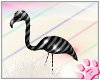 *pp*Flamingo!:BKstripe