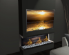 Ren Fireplace/TV