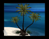 BA Lon tree Palms