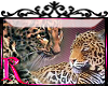 *R* Leopards Enhancer