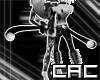 [C.A.C] Gibby Pirate Tai