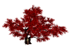 ~Y Red Tree